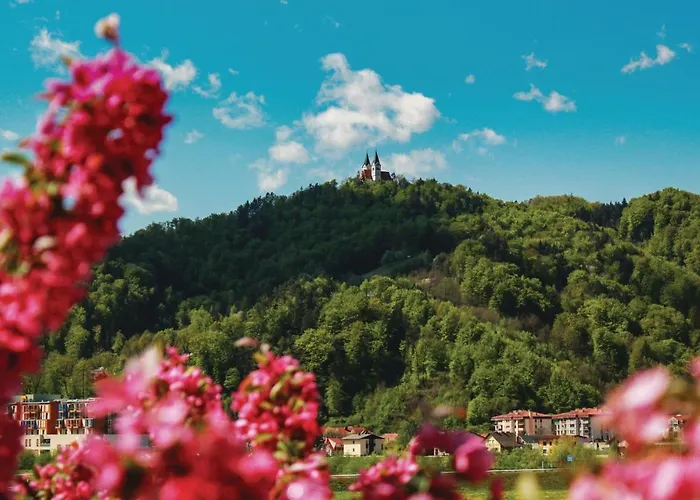 Stunning In With Wifi